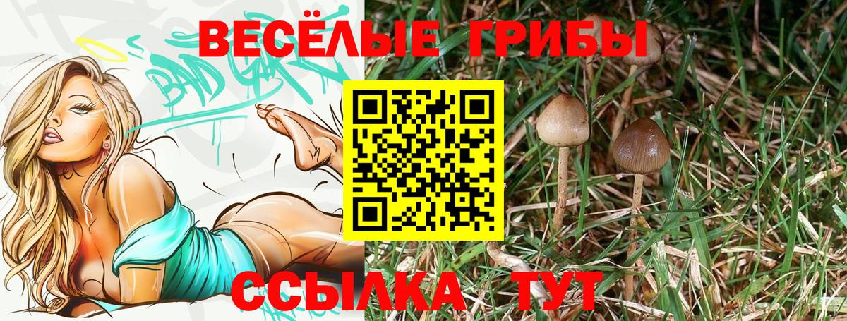 Галлюциногенные грибы Magic Shrooms Сухой Лог