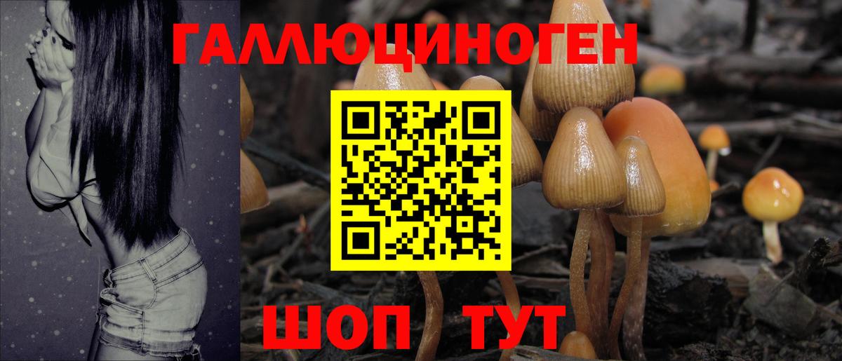 Галлюциногенные грибы Psilocybe  где продают   Сухой Лог  Вход с VPN  Псилоцибиновые грибы Psilocybe 